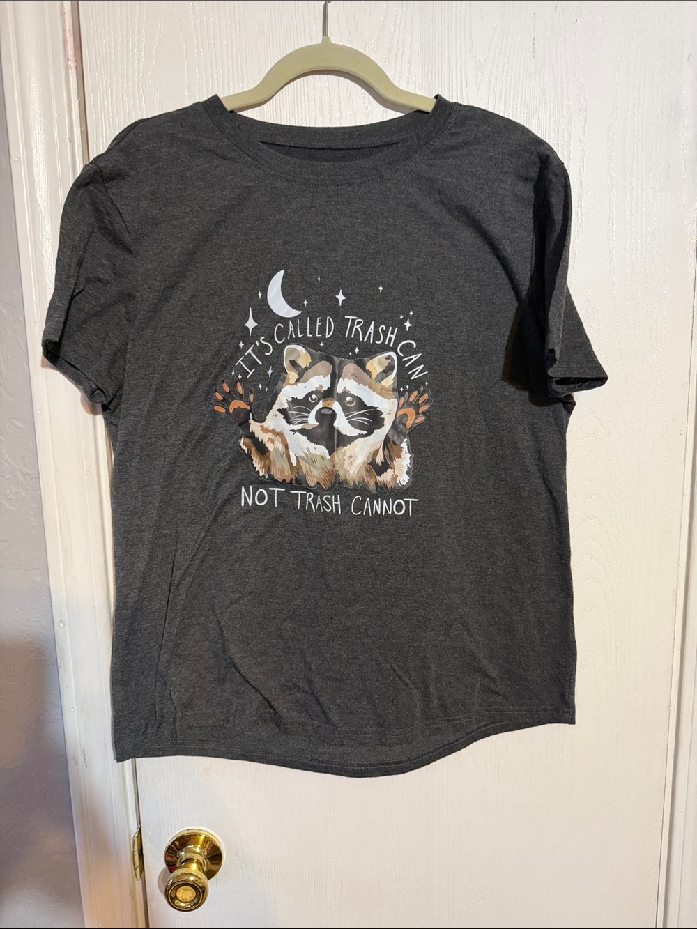 Dark Gray Graphic Raccoon Short Sleeve Tee